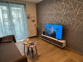 Apartmán U Pelikána, Olomouc